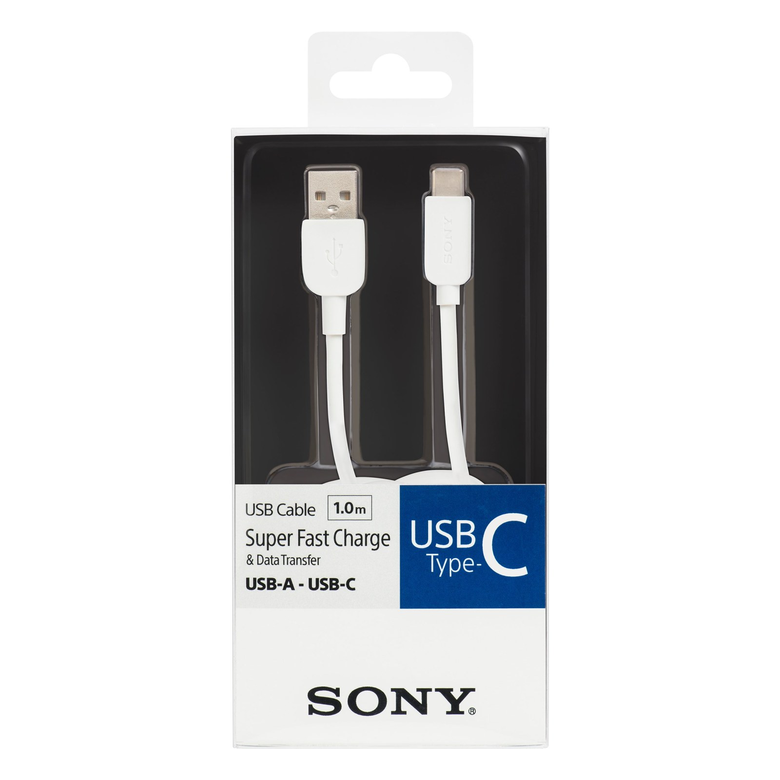 Sony AC100 Charging Cable