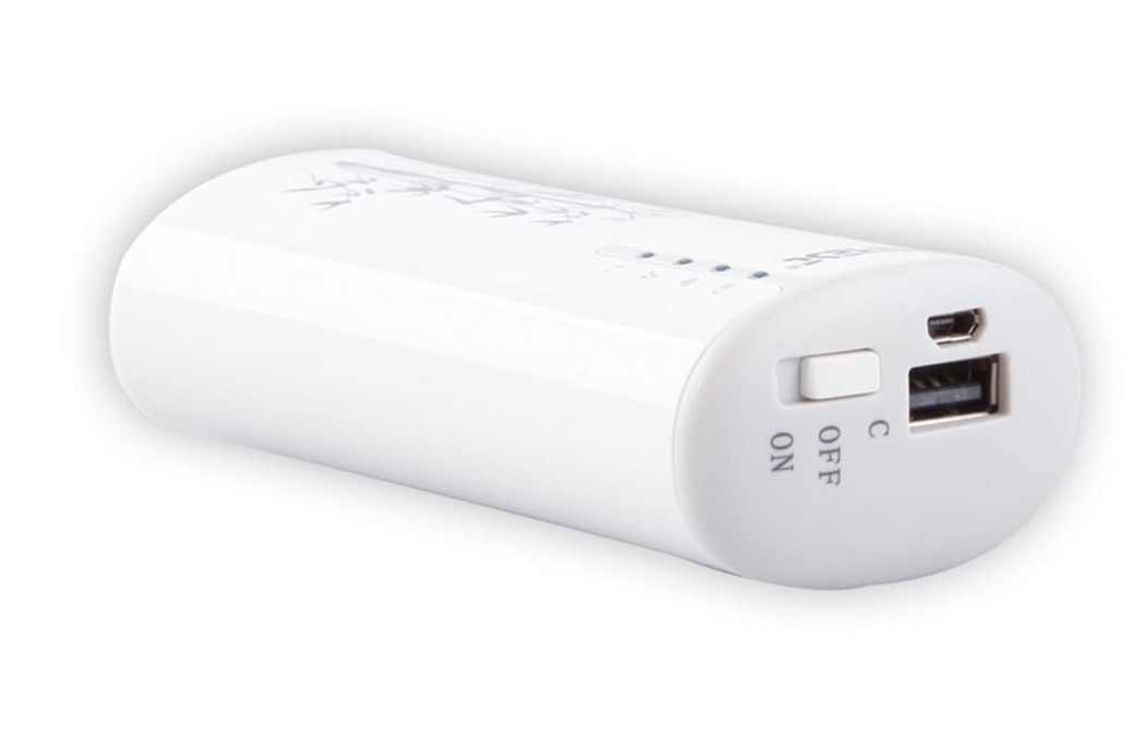 Everest EWN-729P AP + 3G Wireless Router and 4000 mAh Power Bank