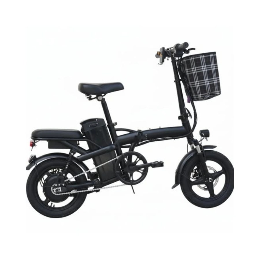 Queen QUEEN 025 WINDHORSE Electric Bike 48V 12Ah
