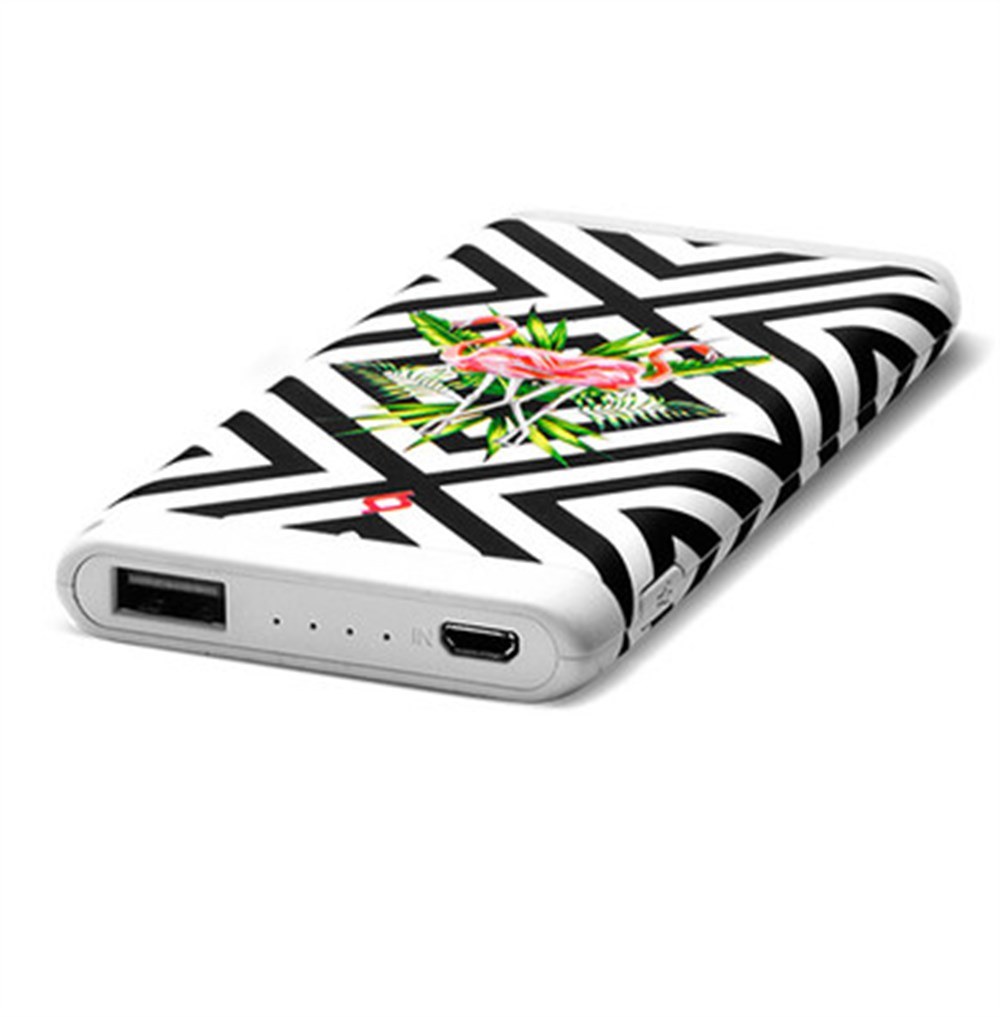 TTEC 2BB143F ArtPower — внешний аккумулятор 4.000mAh