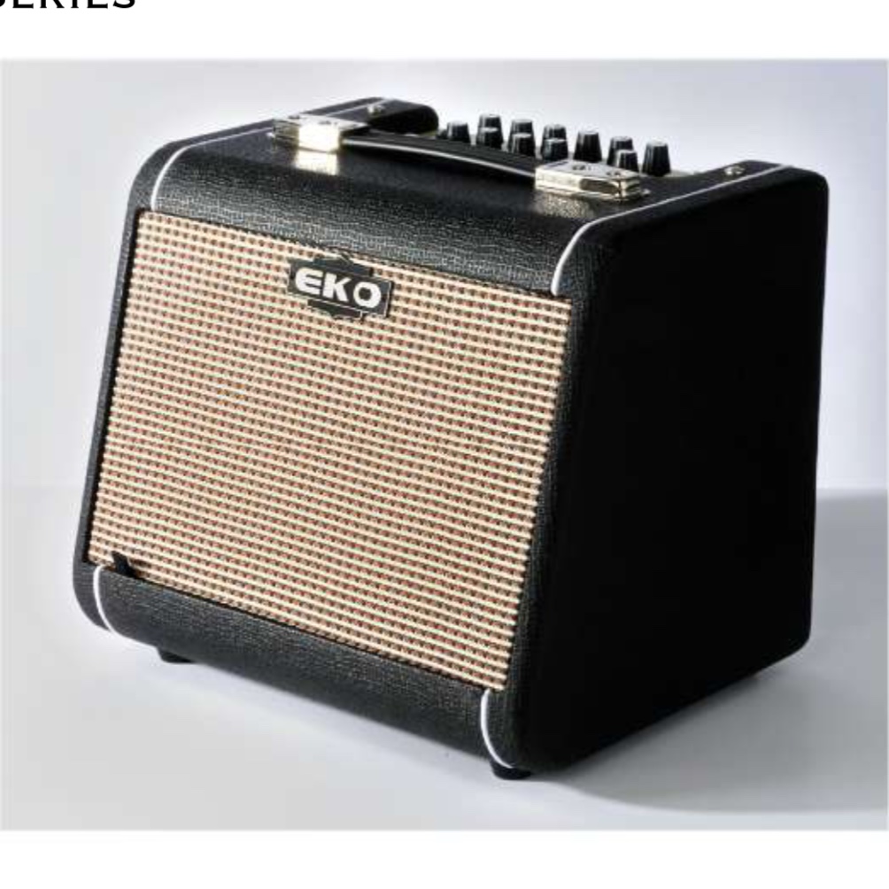 Eko AC 60 Akustik Gitar Amfisi 60 W