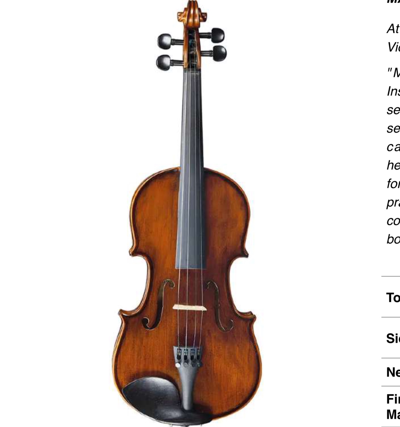 Eko Bowed Maestro Violin EBV 1413 4/4
