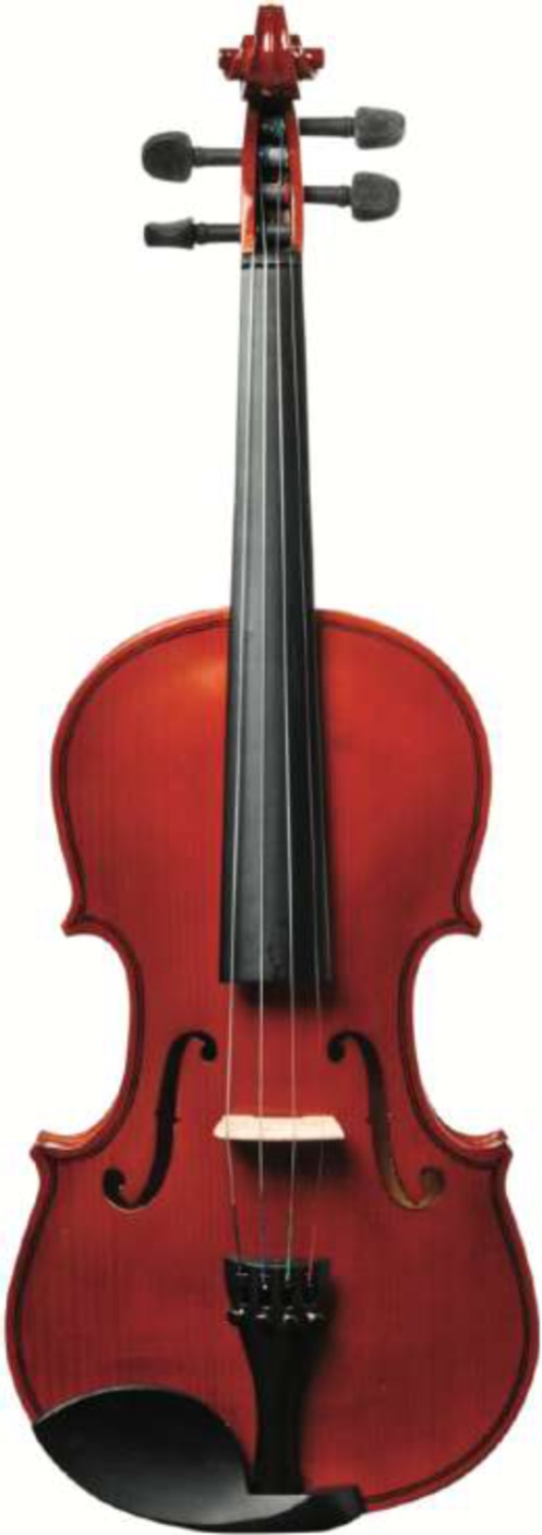 Eko Bowed Primo Violin EBV 1410 3/4