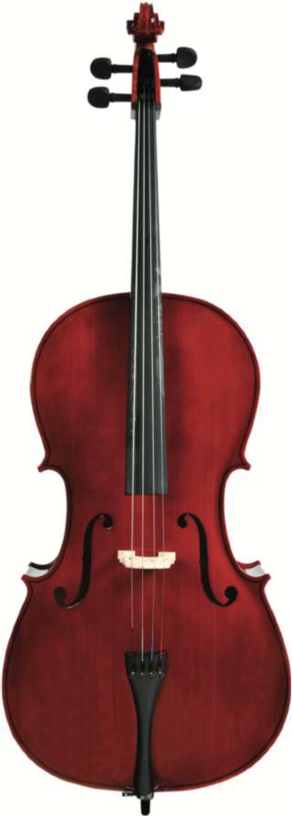 Eko Bowed Student Cello EBC 6012 3/4