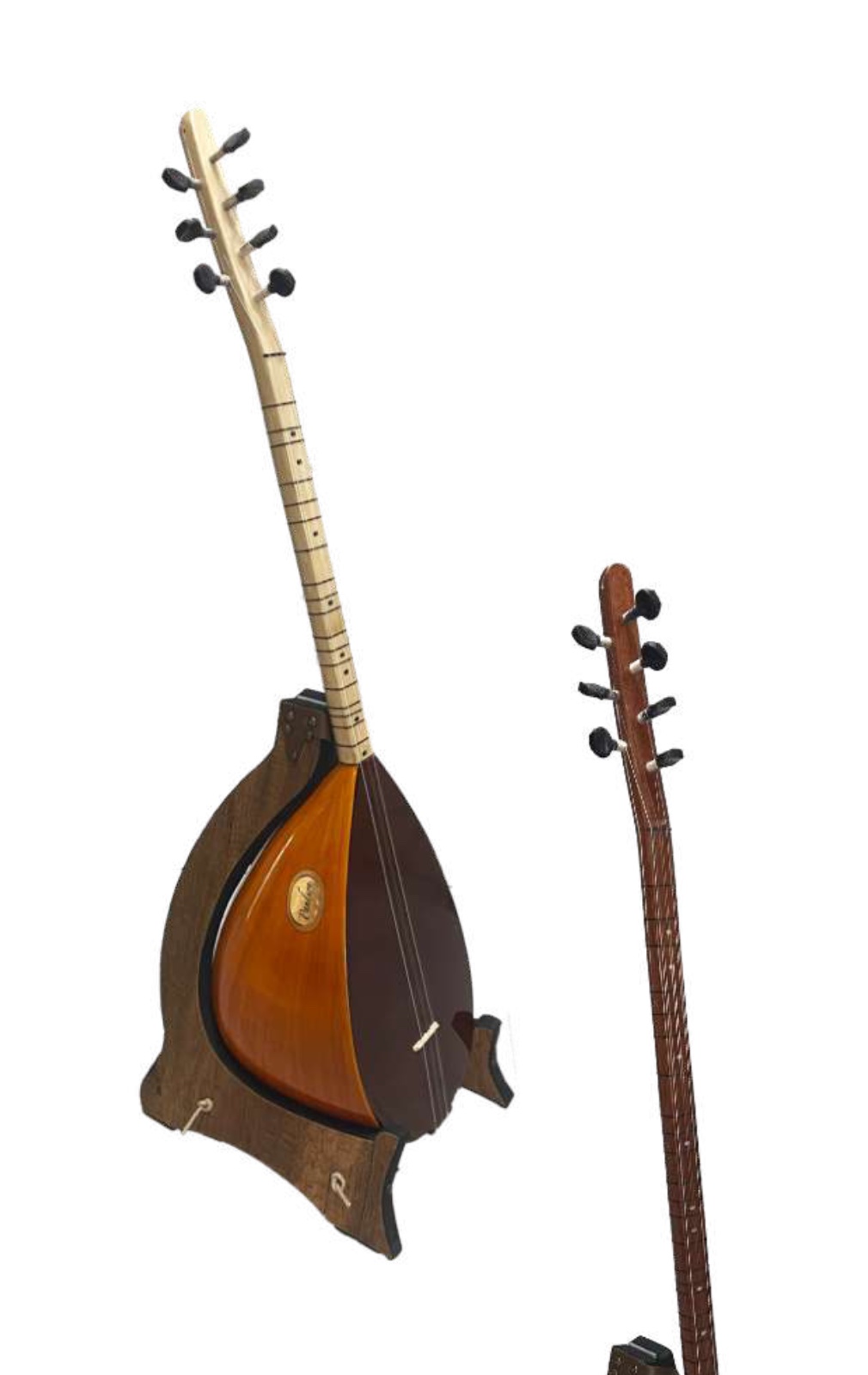 Donizetti Bağlama Kısa veya Uzun Sap