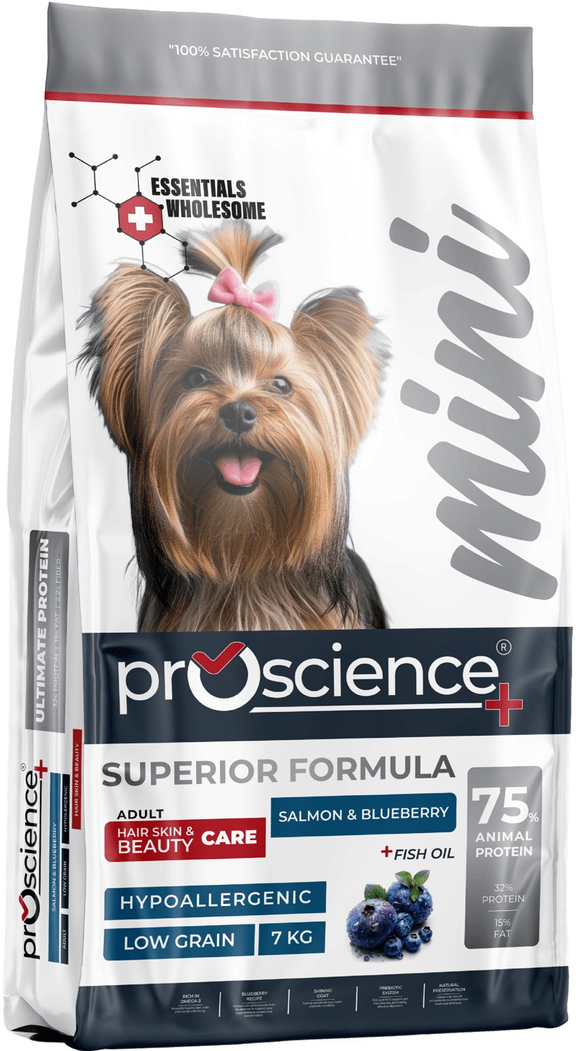 Mini Adult Dog Salmon & Blueberry 7 kg