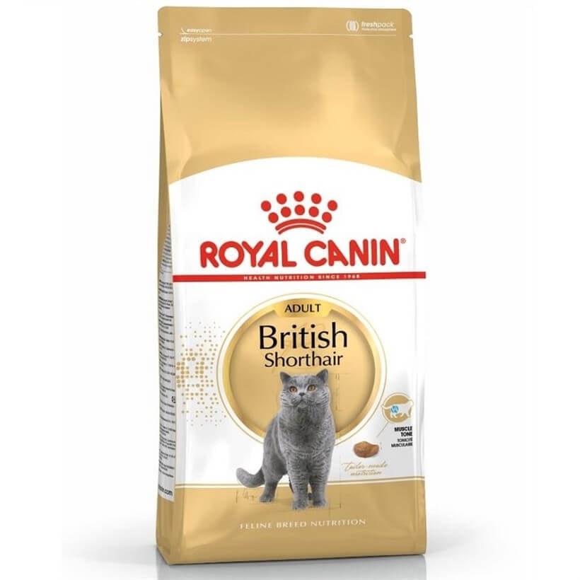 FBN British Shorthair Kedi Maması 4 kg