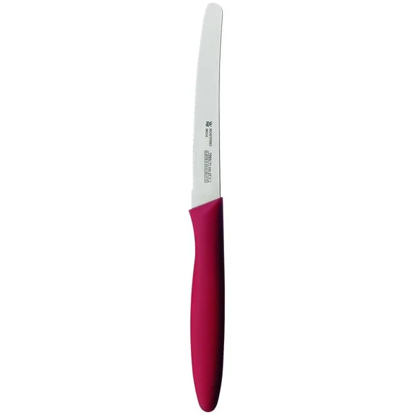 WMF 18.7004.9990 Snack Knife 10 Cm